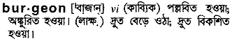 Burgeon in Bangla Academy Dictionary