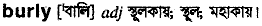 Burly in Bangla Academy Dictionary