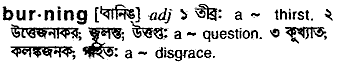 Burning in Bangla Academy Dictionary