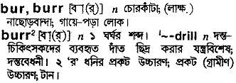Burr in Bangla Academy Dictionary