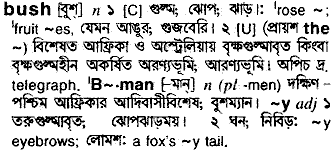 Bush in Bangla Academy Dictionary