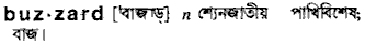 Buzzard in Bangla Academy Dictionary