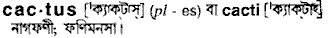Cactus in Bangla Academy Dictionary