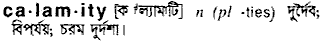 Calamity in Bangla Academy Dictionary