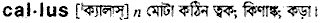 Callus in Bangla Academy Dictionary