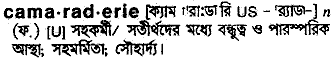 Camaraderie in Bangla Academy Dictionary