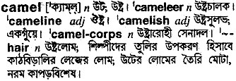 Camel in Bangla Academy Dictionary