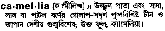 Camellia in Bangla Academy Dictionary