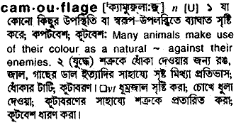 Camouflage in Bangla Academy Dictionary