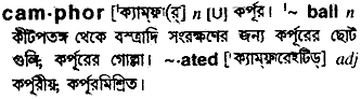 Camphor in Bangla Academy Dictionary