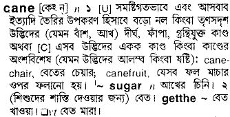Cane in Bangla Academy Dictionary