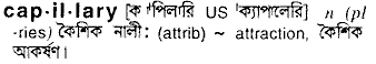 Capillary in Bangla Academy Dictionary
