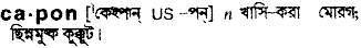 Capon in Bangla Academy Dictionary