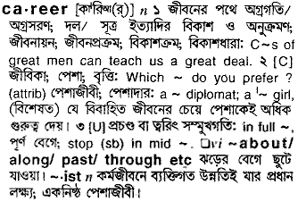 Career in Bangla Academy Dictionary