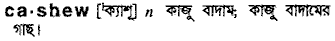 Cashew in Bangla Academy Dictionary