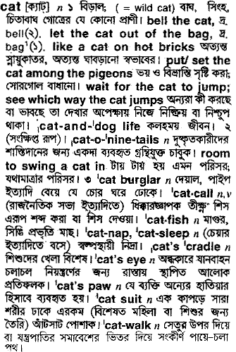 Cat in Bangla Academy Dictionary
