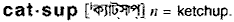 Catsup in Bangla Academy Dictionary
