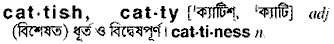 Catty in Bangla Academy Dictionary