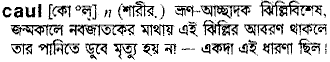 Caul in Bangla Academy Dictionary