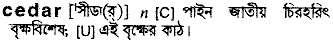 Cedar in Bangla Academy Dictionary