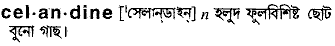 Celandine in Bangla Academy Dictionary