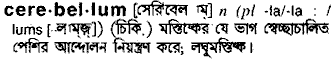 Cerebellum in Bangla Academy Dictionary
