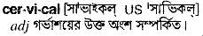 Cervical in Bangla Academy Dictionary