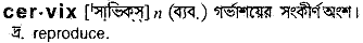 Cervix in Bangla Academy Dictionary