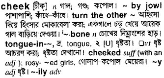 Cheek in Bangla Academy Dictionary