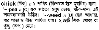 Chick in Bangla Academy Dictionary