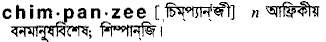 Chimpanzee in Bangla Academy Dictionary
