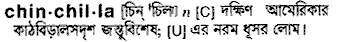 Chinchilla in Bangla Academy Dictionary