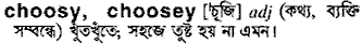 Choosey in Bangla Academy Dictionary
