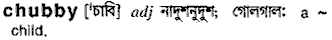 Chubby in Bangla Academy Dictionary