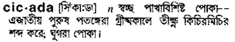 Cicada in Bangla Academy Dictionary