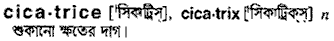 Cicatrix in Bangla Academy Dictionary