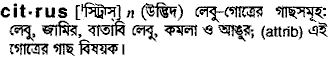 Citrus in Bangla Academy Dictionary
