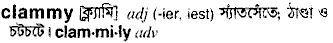 Clammy in Bangla Academy Dictionary