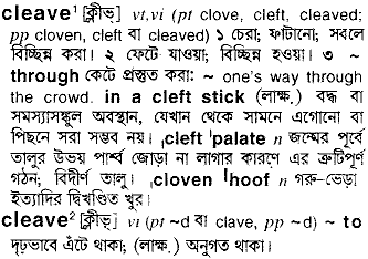Cleave in Bangla Academy Dictionary