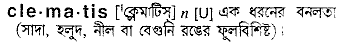 Clematis in Bangla Academy Dictionary