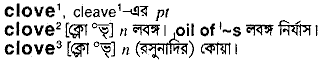 Clove in Bangla Academy Dictionary