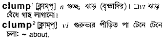 Clump in Bangla Academy Dictionary