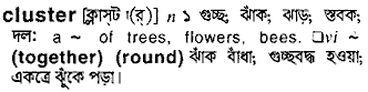 Cluster in Bangla Academy Dictionary