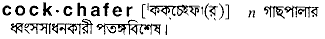 Cockchafer in Bangla Academy Dictionary