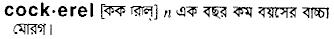 Cockerel in Bangla Academy Dictionary