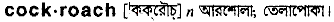 Cockroach in Bangla Academy Dictionary