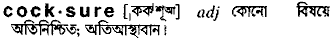 Cocksure in Bangla Academy Dictionary