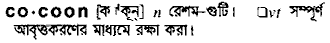 Cocoon in Bangla Academy Dictionary