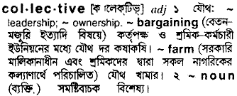 Collective in Bangla Academy Dictionary