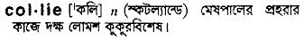 Collie in Bangla Academy Dictionary